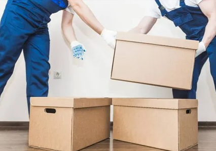 Movers And Packers